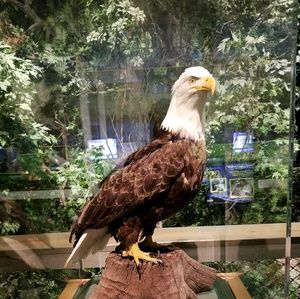 Meet your Posher, Iqbal